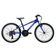 J22(270)(AK)LG BLUE [子ども用自転車 22インチ 270mm 18段変速 LG BLUE]