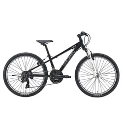 子ども用自転車 24インチ 300mm 21段変速 LG BLACK J24(300)(AK)LG BLACK