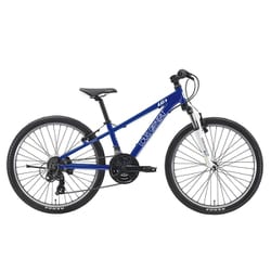 子ども用自転車 24インチ 300mm 21段変速 LG BLUE J24(300)(AK)LG BLUE