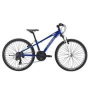 子ども用自転車 24インチ 300mm 21段変速 LG BLUE J24(300)(AK)LG BLUE