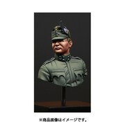 SBMV16006 WW.1 オーストリア・ハンガリー帝国 山岳師団将校 胸像 [1/16スケール レジン製ミリタリーフィギュア]
