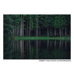 ブランド購入サイト ヨドバシ.com - タムロン TAMRON 17-70mm F/2.8 Di III-A VC RXD レンズ(ズーム)