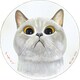 糸井忠晴 木製ラウンドアート「ゴンL」 IT-01511