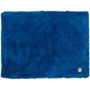 業務用バスマット 乾度良好Ag+ 約縦90cm×横120cm ブルー