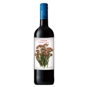 Colorido ルージュ 12.5度 750ml 岡嶋和幸氏コラボ フランス/エロー [赤ワイン]