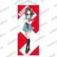 涼宮ハルヒの直観 発売記念 等身大タペストリー 涼宮ハルヒ [キャラクターグッズ]