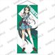 涼宮ハルヒの直観 発売記念 等身大タペストリー 鶴屋さん [キャラクターグッズ]