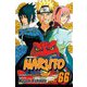Naruto Vol. 66/NARUTO 66巻 [洋書コミック]