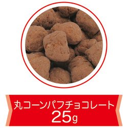 ヨドバシ Com ハート Heart 限定 鍵付き缶 アナと雪の女王 25g チョコレート 通販 全品無料配達