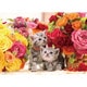P66-160 薔薇に囲まれて [ジグソーパズル 600ピース （完成サイズ：53×38cm）]