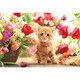 P33-190 チューリップと子猫 [ジグソーパズル 300ピース （完成サイズ：38×26cm）]