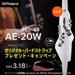 ヨドバシ.com - ローランド ROLAND AE-30 [エアロフォンプロ] 通販