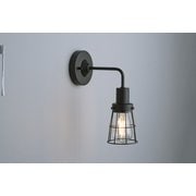 ビス止めブラックガード・BK型BK（LEDスワンバルブエジソン付） GLF-3527