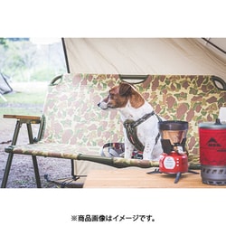 MIT様向け CATALOGUE & CHANDIGARH 2冊セット TEG TEG - 【送料込み】美品 Girls² おはガール 小川桜花ちゃん
