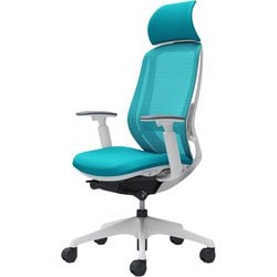 【完成品】 Sylphy（シルフィ） ブルーグリーン 【エクストラハイバック メッシュタイプ アジャストアーム付 ホワイトボディ 樹脂脚 ランバーサポート付 ナイロンキャスター】 ※受注生産 C68AXZ FMR6