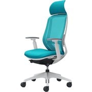 【完成品】 Sylphy（シルフィ） ブルーグリーン 【エクストラハイバック メッシュタイプ アジャストアーム付 ホワイトボディ 樹脂脚 ランバーサポート付 ナイロンキャスター】 ※受注生産 C68AXZ FMR6