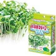 手のひら実験室 水耕栽培でブロッコリースプラウトを育てよう