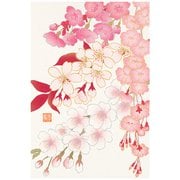 限定 ポストカード582 桜いろいろ柄 88582006