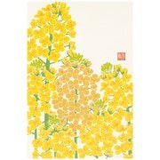 限定 ポストカード589 菜の花柄 88589006