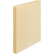 CUBE FIZZ クリヤーブック A4 42P ベージュ N6001-16