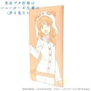 青春ブタ野郎はバニーガール先輩の夢を見ない 合皮チケットホルダー 梓川かえで [キャラクターグッズ]