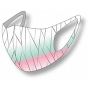鬼退散マスク 蝶の羽模様（ちょうのはね） 大人用（男女兼用） 2枚入り 消臭・抗菌 洗える ONIMCH