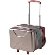 81670101 [ハイパー氷点下・トローリークーラー-BA]