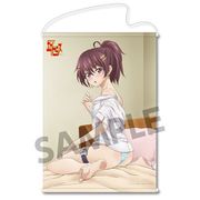 ド級編隊エグゼロス B2タペストリー 桃園百花 [キャラクターグッズ]