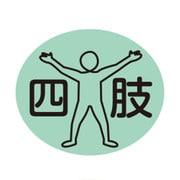 部位ラベル四肢（D-2）17X20mm（100マイイリ）