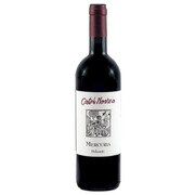 カステル・ノアルナ メルキュリア 13度 750ml イタリア/トレンティーノ・アルトアディジェ [赤ワイン]