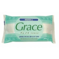 手芸用品 8585 樹脂粘土 グレイス プチサイズ 100g