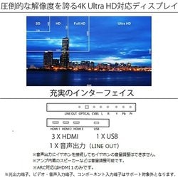ヨドバシ.com - JAPANNEXT ジャパンネクスト JN-IPS4300TUHDR [43型 4K