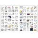 北海の魔獣あざらしさん クリアファイル スタンプ柄（第7弾他） [キャラクターグッズ]
