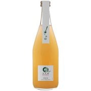 てぐみプチ白 10度 500ml [スパークリングワイン]