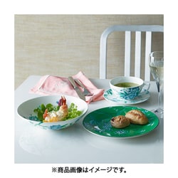 ヨドバシ.com - ウェッジウッド ジャスパー・コンラン