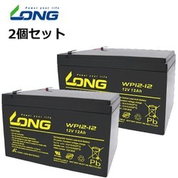 制御弁式鉛蓄電池 UPS・非常電源用 /2個セット WP12-12