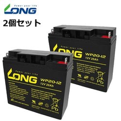 制御弁式鉛蓄電池 UPS・非常電源用 /2個セット WP20-12