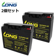 WP20-12 [制御弁式鉛蓄電池 UPS・非常電源用 /2個セット]