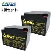 WP26-12NE [制御弁式鉛蓄電池 電動車・セニアカー用 /2個セット]