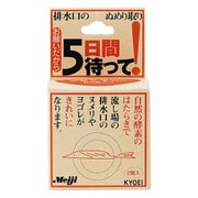 お願いだから五日間待って 排水口用 20g×2個入 [排水口用洗浄剤]