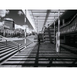 ヨドバシ.com - ラオワ LAOWA LAO0097 [10mm F2 Zero-D マイクロ ヨドバシ.com - ラオワ LAOWA LAO0097 [10mm F2 Zero-D マイクロ