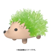 50738 マジックハリネズミ グリーン