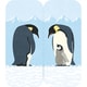フタマタフセン イラストタイプ Mサイズ 007 ペンギン 3560-007