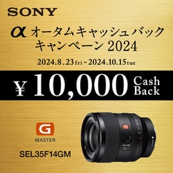 ヨドバシ.com - ソニー SONY SEL35F14GM Gマスター FE 35mm F1.4 [単焦点レンズ G MASTER  35mmフルサイズ対応 Eマウント] 通販【全品無料配達】