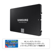 SSD 870 EVO ベーシックキット 500GB バックアップSWダウンロード版 MZ-77E500YO3