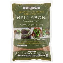 ヤシの実チップ 多肉植物専用 ベラボン サキュレント 1L