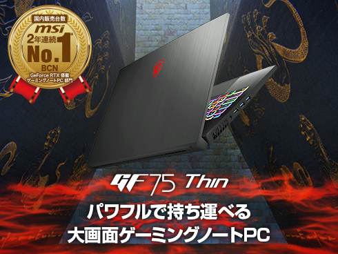 MSI GF75 Thin 10UEK Gaming Laptop 17"