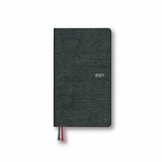 2021年4月始まり Appoint（アポイント） 1週間ファミリーレイアウト 日曜始まり 手帳サイズ ブラック E1176