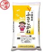 精米 千葉県産 ふさこがね 10kg 令和7年産