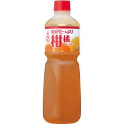 実がたっぷり 柑橘ドレッシング 1L
